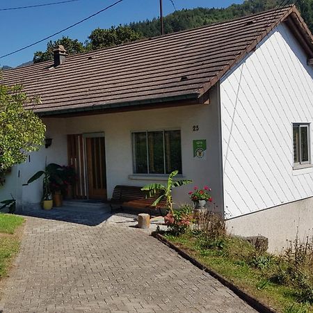 Les Noyers Du Wissbach Villa Willer-sur-Thur Luaran gambar