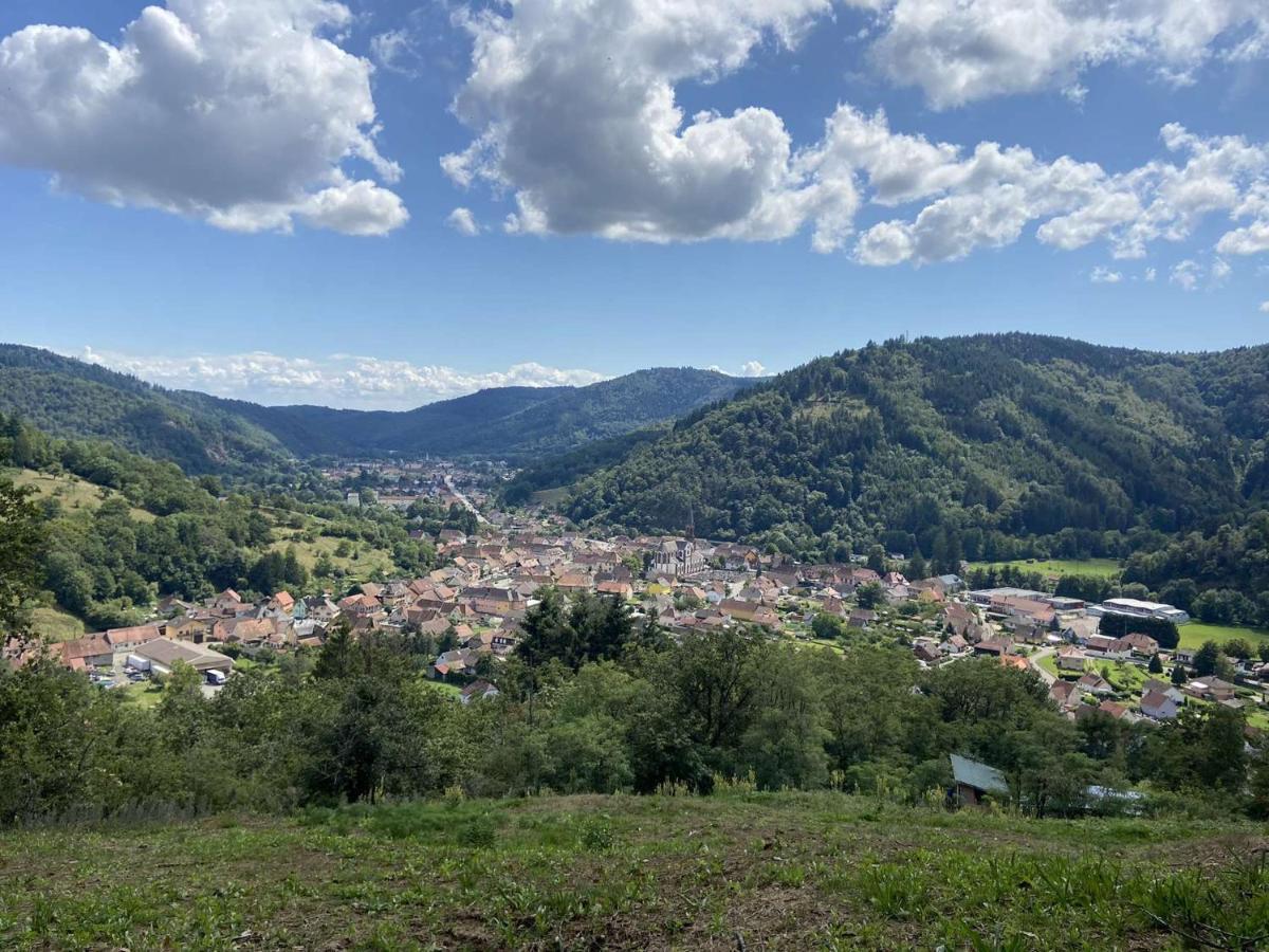 Les Noyers Du Wissbach Villa Willer-sur-Thur Luaran gambar