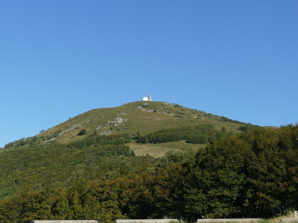 Les Noyers Du Wissbach Villa Willer-sur-Thur Luaran gambar