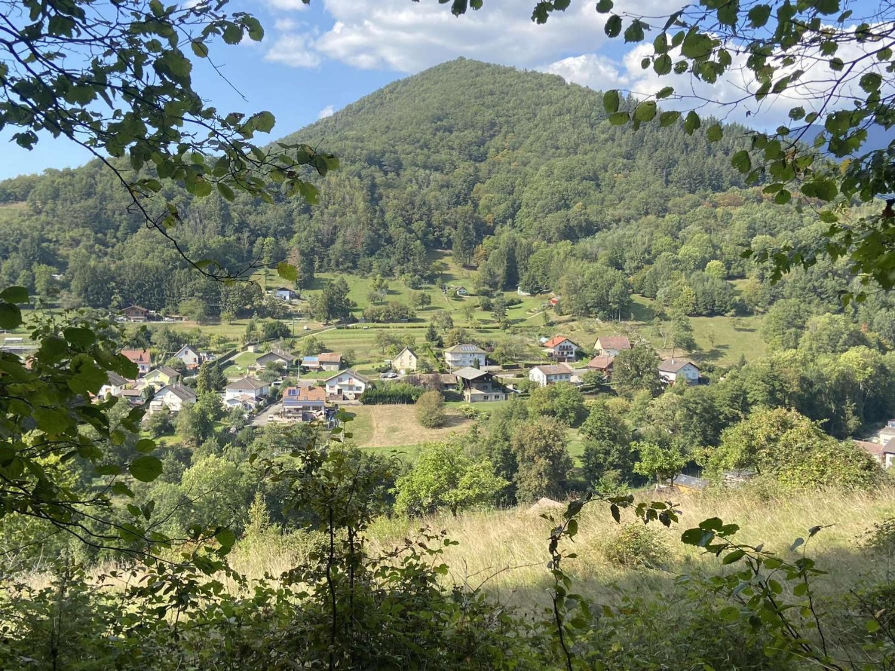 Les Noyers Du Wissbach Villa Willer-sur-Thur Luaran gambar