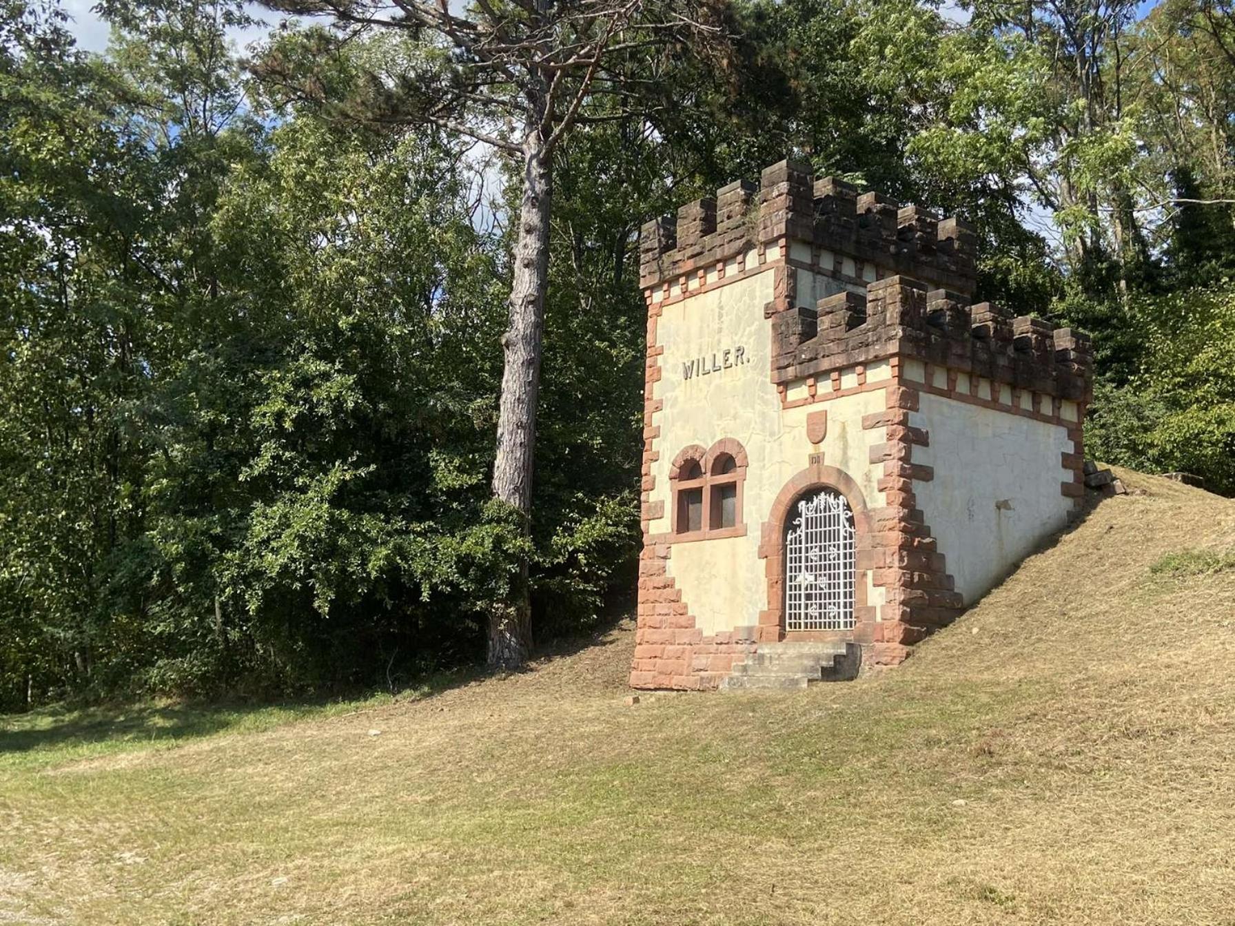 Les Noyers Du Wissbach Villa Willer-sur-Thur Luaran gambar